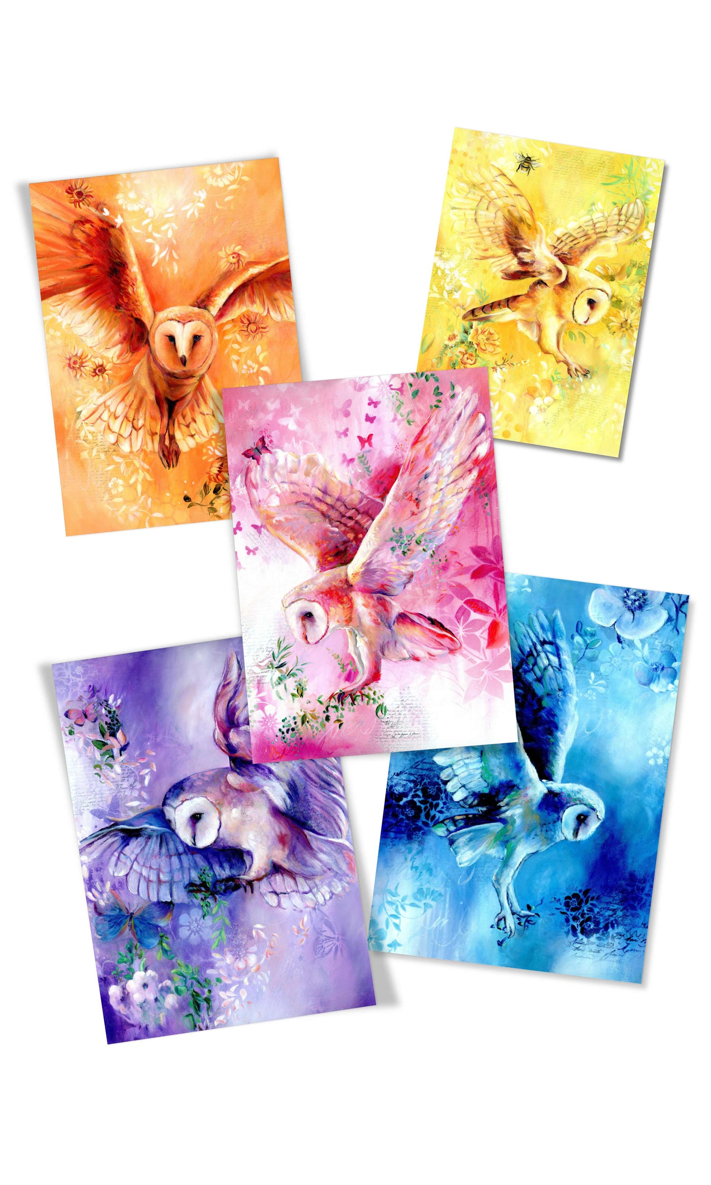 Grace Owl
