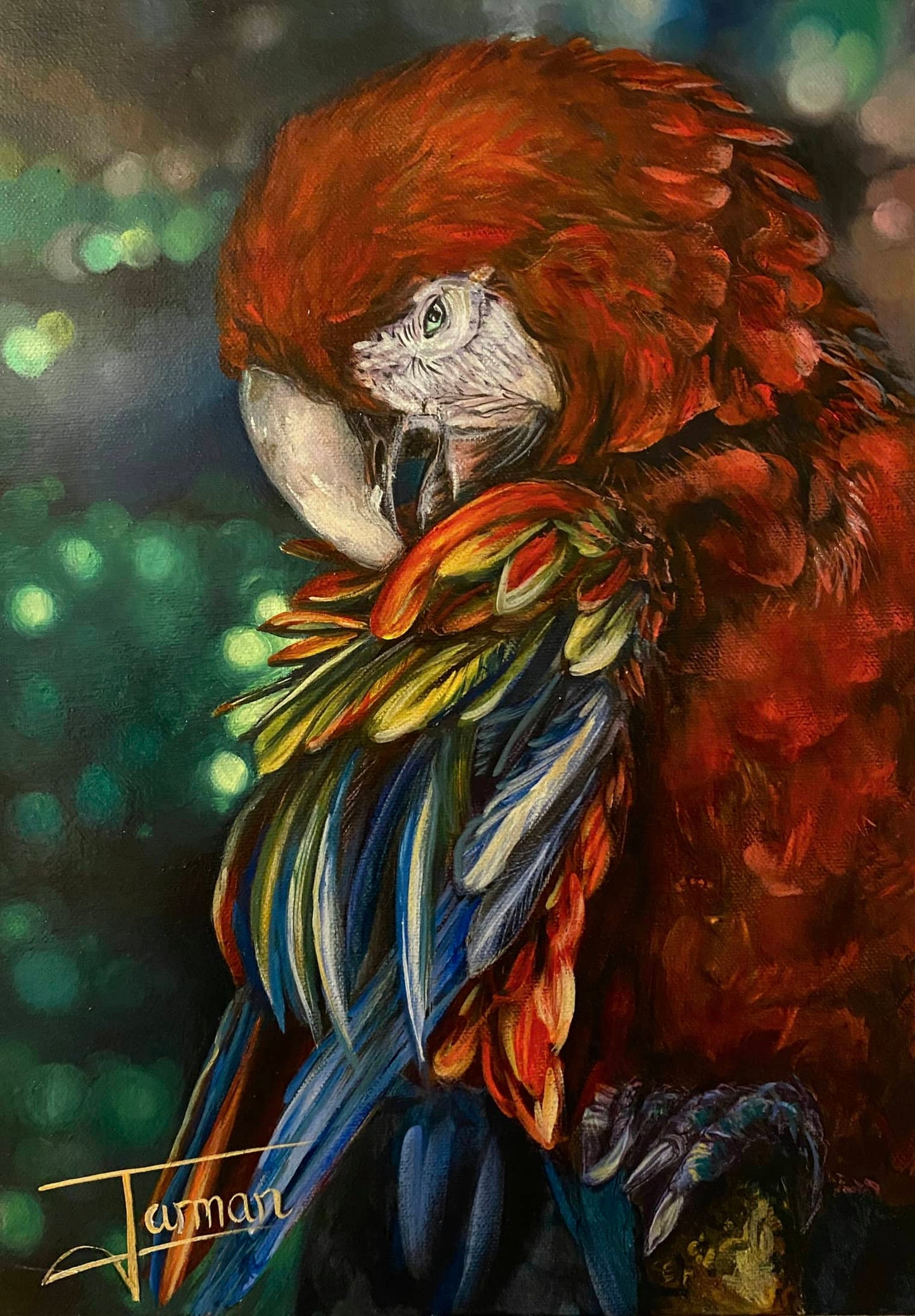 Parrot Pruning Feathers