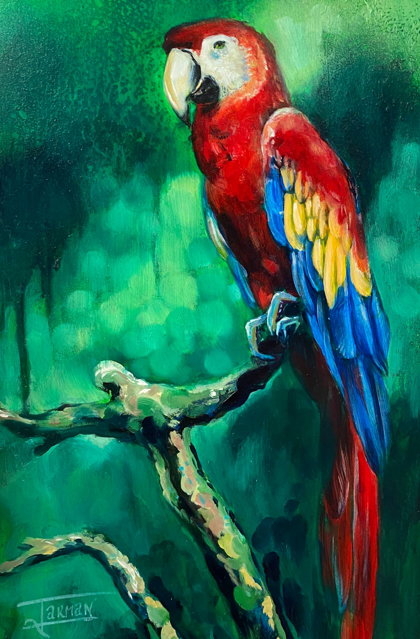 Parrot Art, Parrot painting, Green and Red art, Green painting, Red parrot, colourful parrot. Oil painting. Tropical art, tropical rainforest, tropical painting, bird art, bird painting.