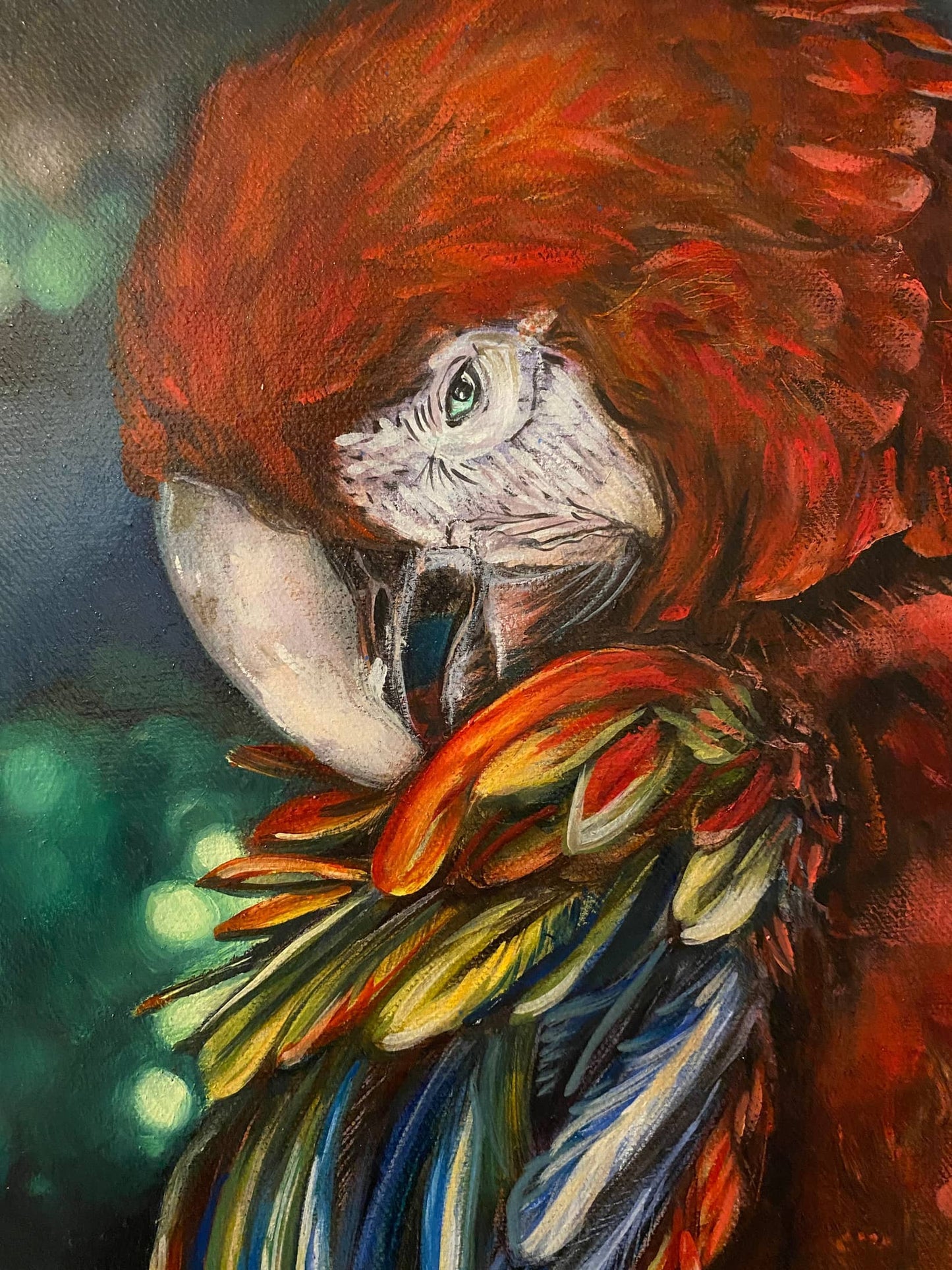 Parrot Pruning Feathers