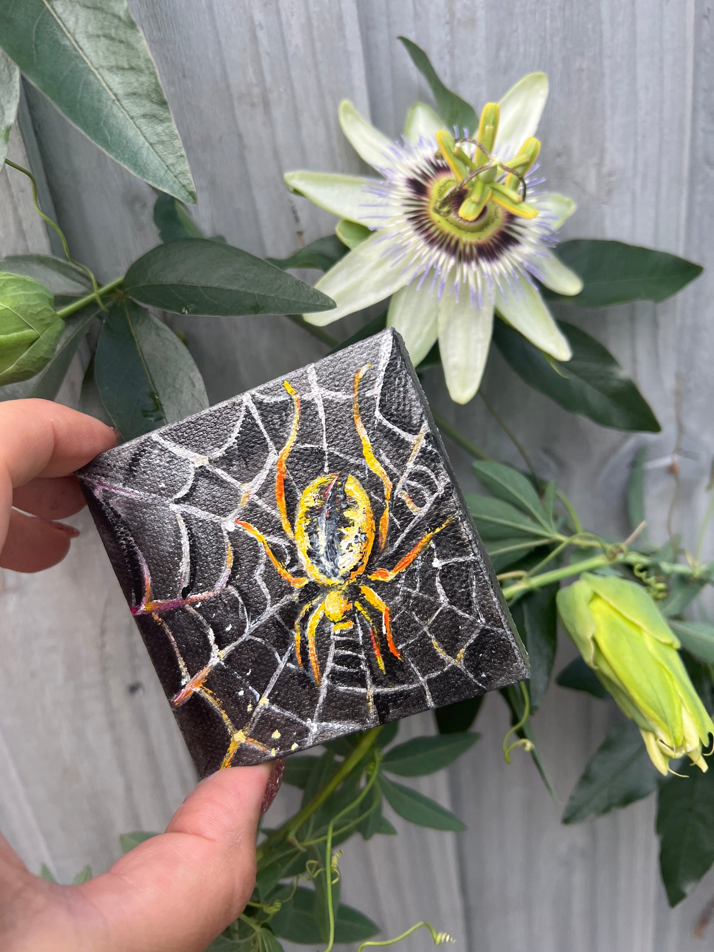 6. Golden Weaver