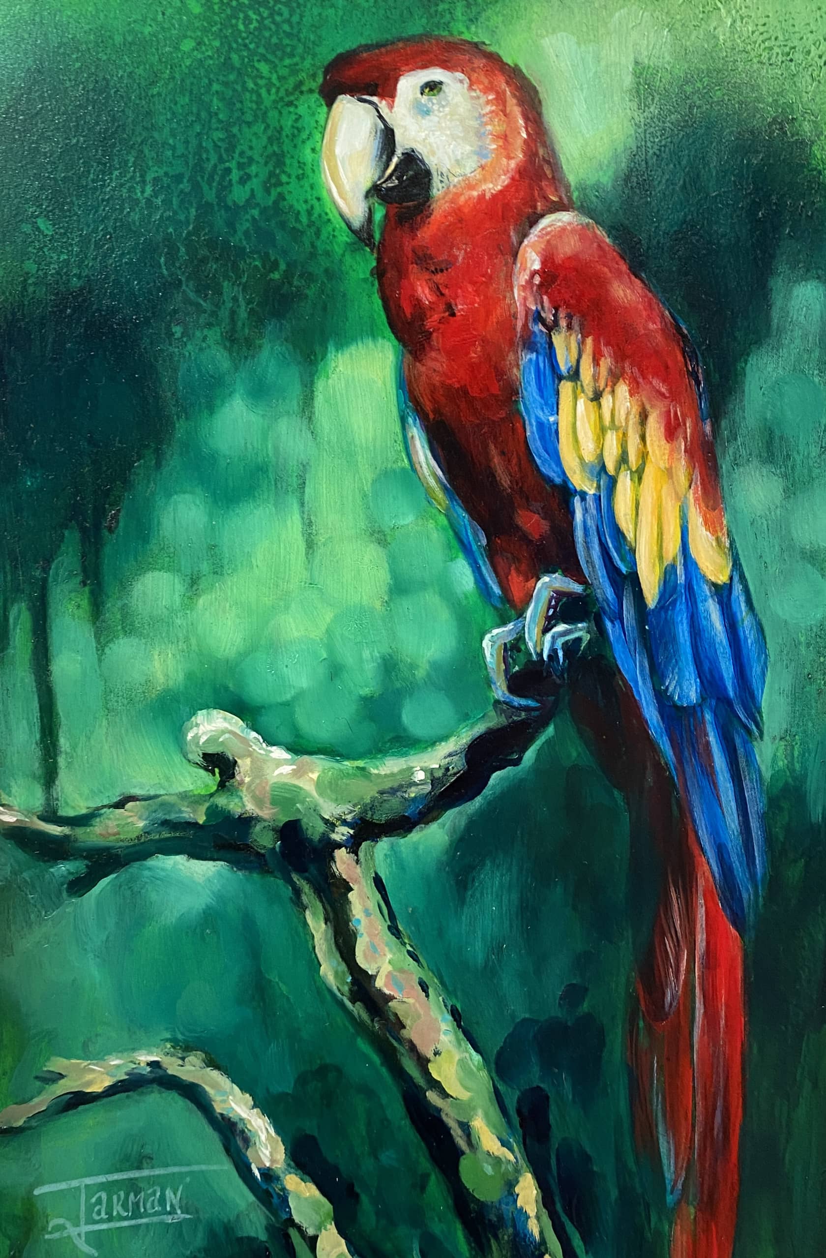 Parrot Art, Parrot painting, Green and Red art, Green painting, Red parrot, colourful parrot. Oil painting. Tropical art, tropical rainforest, tropical painting, bird art, bird painting. 